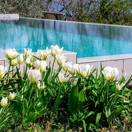 Apartment Maggiore